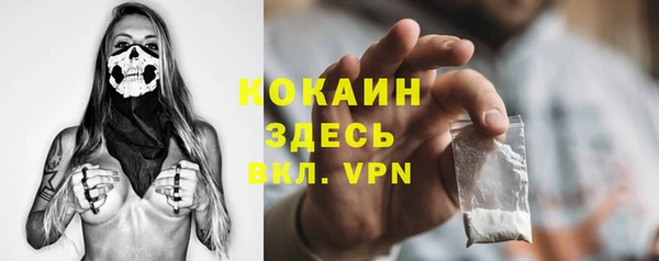 шишки Михайловск