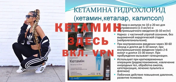 шишки Михайловск