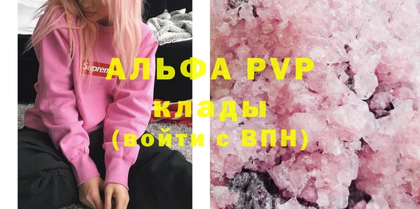 шишки Михайловск