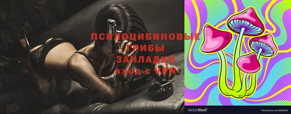 шишки Михайловск