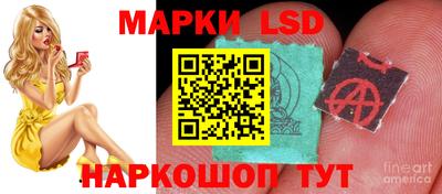 эйфоретик Берёзовский