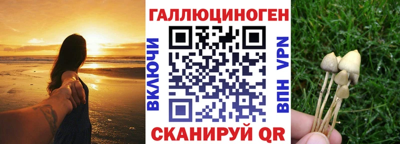Псилоцибиновые грибы GOLDEN TEACHER  Чебоксары 
