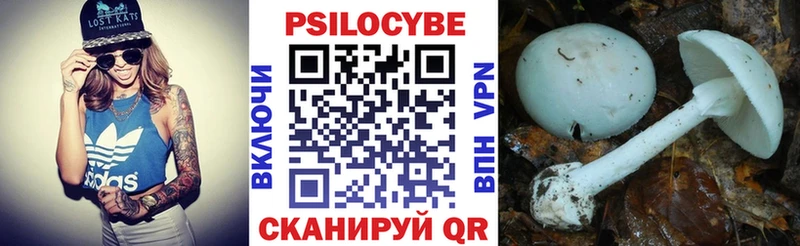 Галлюциногенные грибы Magic Shrooms Чебоксары
