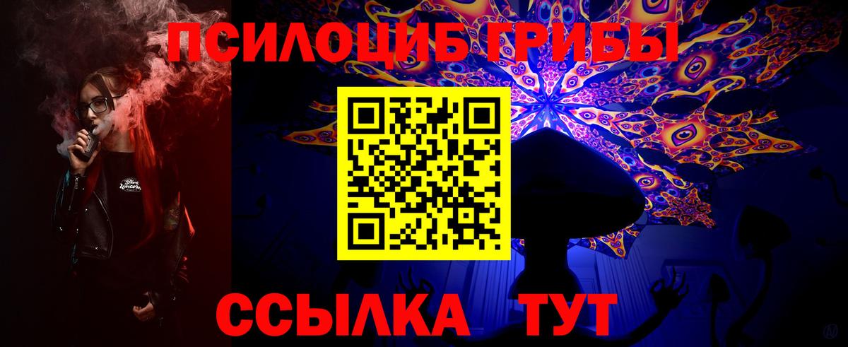 Псилоцибиновые грибы мицелий Чебоксары